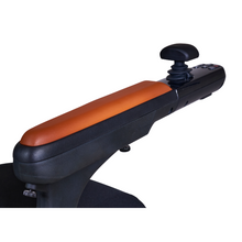 Load image into Gallery viewer, GOLDEN ALLY PRO BY GOLDEN TECHNOLOGIES